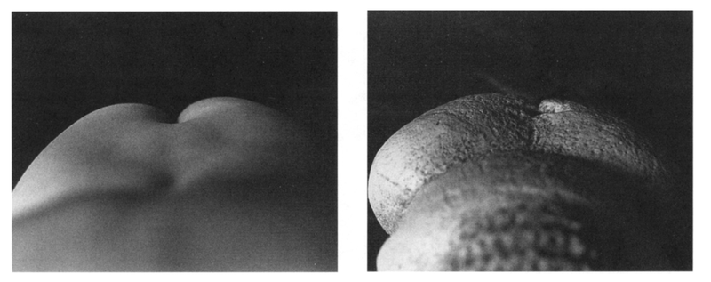 A la izquierda, el punto de vista de una mujer que mira su trasero por debajo de su brazo. A la derecha, la venus de Willendorf desde la misma perspectiva